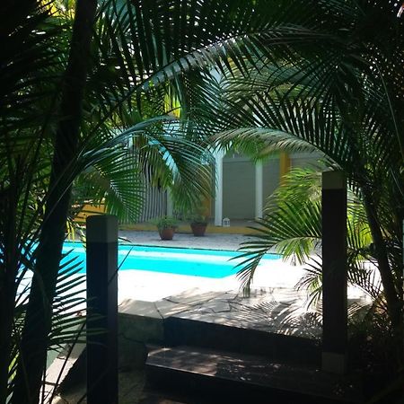 Chambre D'Hote Et Loft Dans Maison De Charme Piscine A Debordement La Villa Gialla Schoelcher Exterior foto