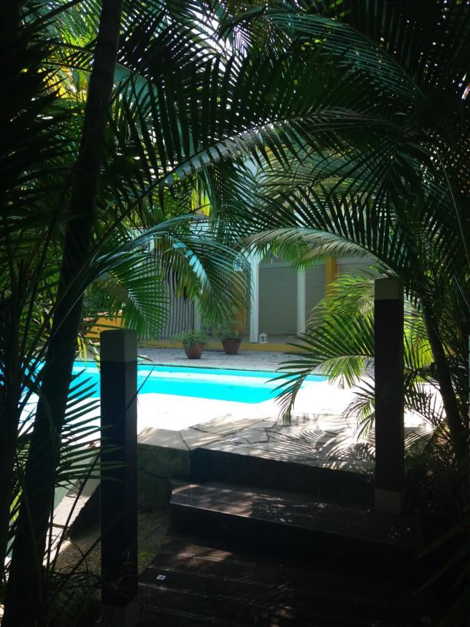 Chambre D'Hote Et Loft Dans Maison De Charme Piscine A Debordement La Villa Gialla Schoelcher Exterior foto
