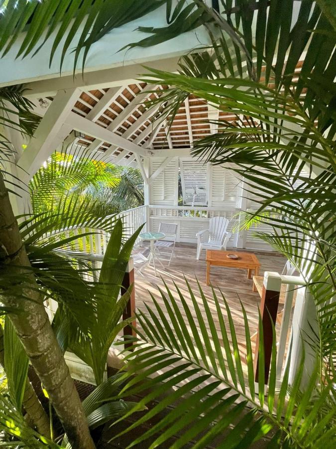 Chambre D'Hote Et Loft Dans Maison De Charme Piscine A Debordement La Villa Gialla Schoelcher Exterior foto