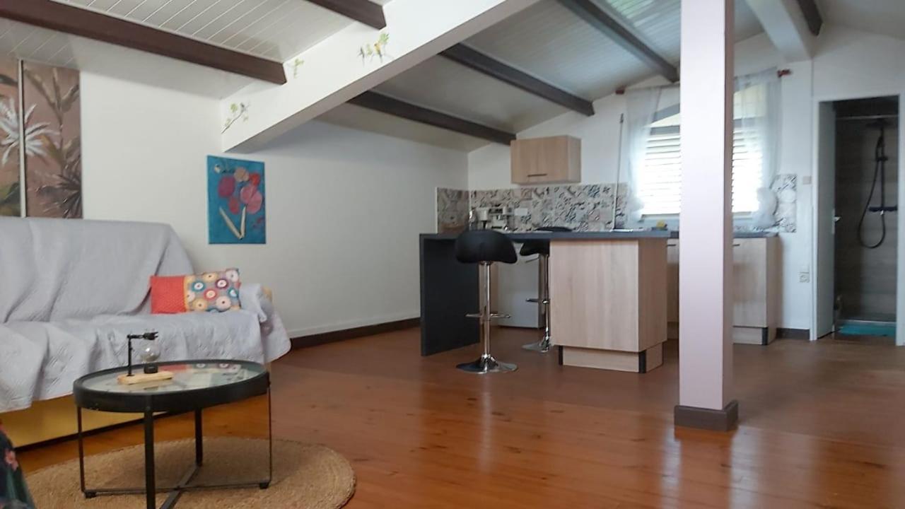 Chambre D'Hote Et Loft Dans Maison De Charme Piscine A Debordement La Villa Gialla Schoelcher Exterior foto
